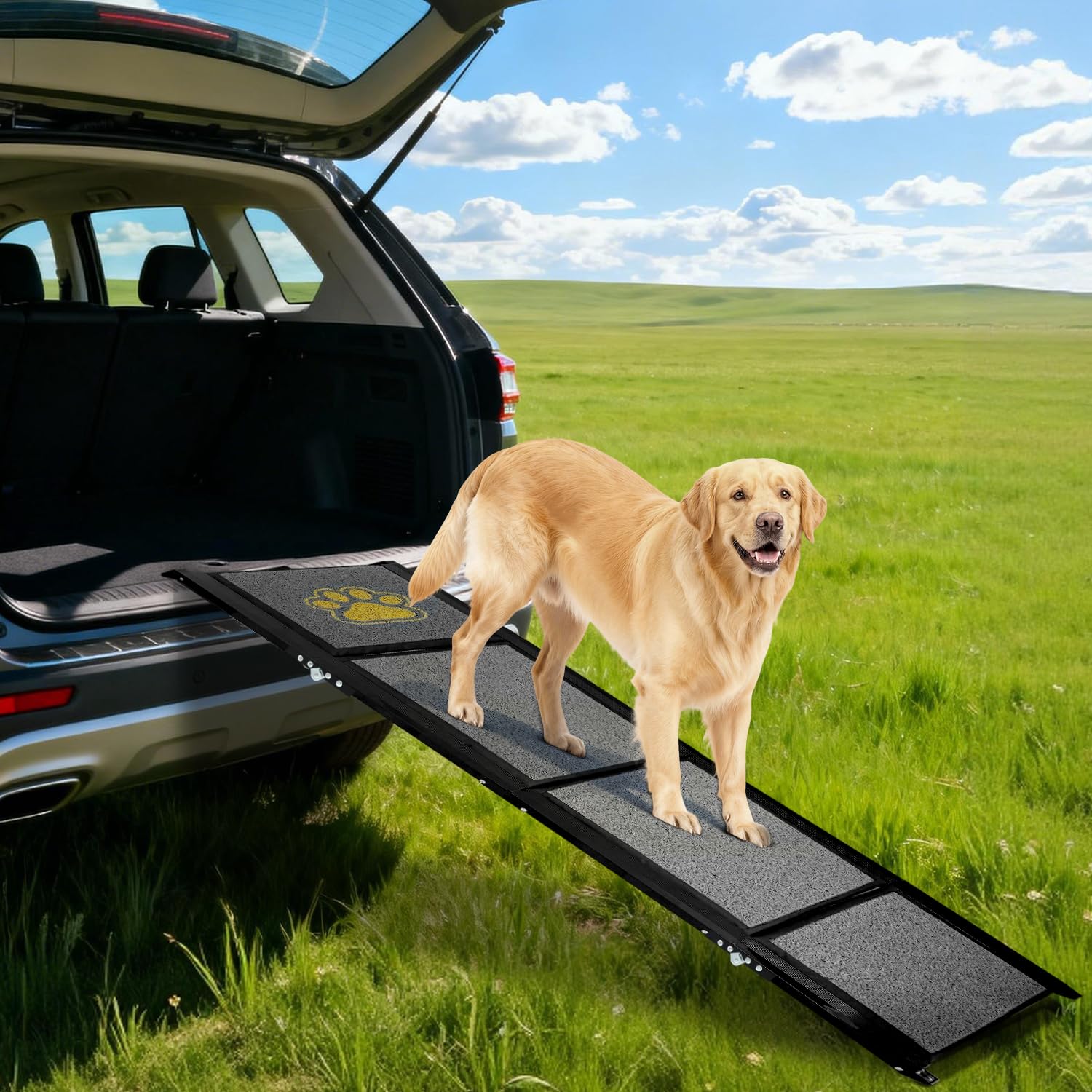 Rampe pour chien pliable extra longue 180 cm avec surface de tapis antidérapante pour petits, moyens et grands chiens - Rampe portable pour voiture, SUV, camion, canapé et lit