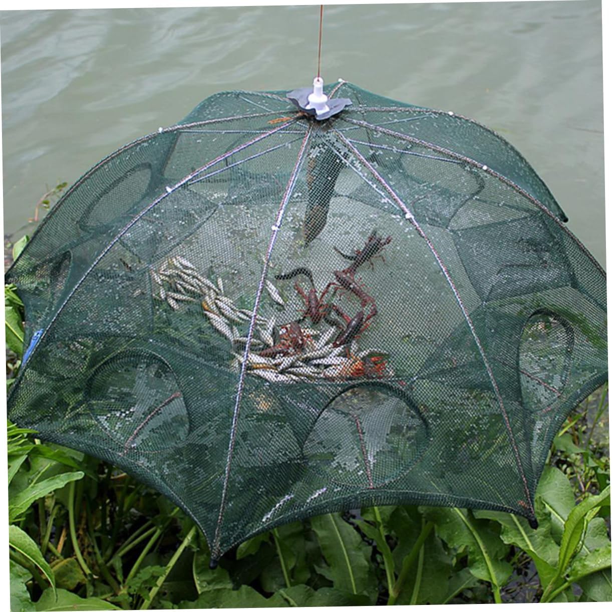 Collapsible Fish Net Umbrella Fish Cage Holes Floating Fishing Net for Bait Easy to Use and Portable for Pond River Lake