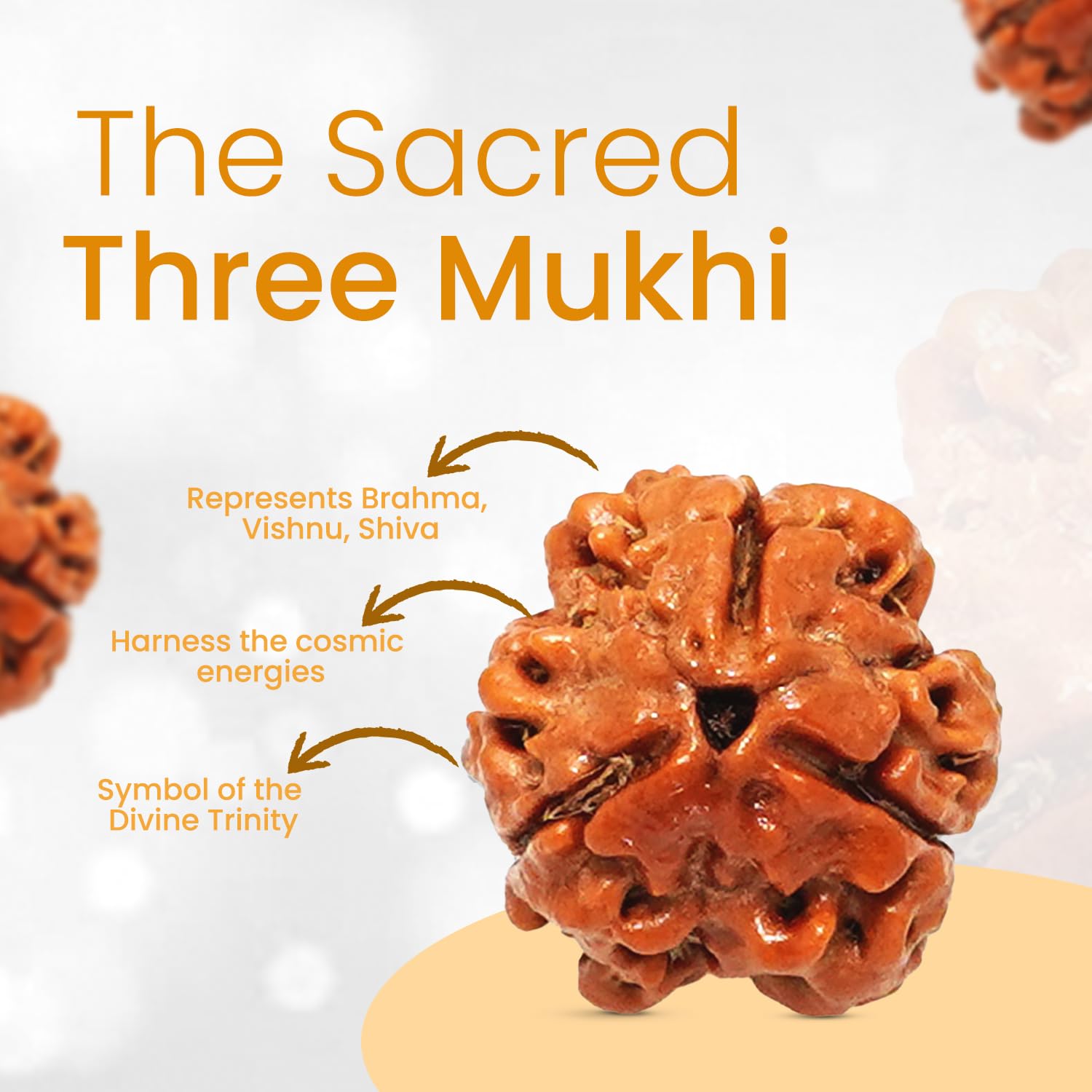 PUSHKARA NATURAL 3 MUKHI RUDRAKSHA CERTIFIED - NEPAL | BROWN | PJTL3M01 2