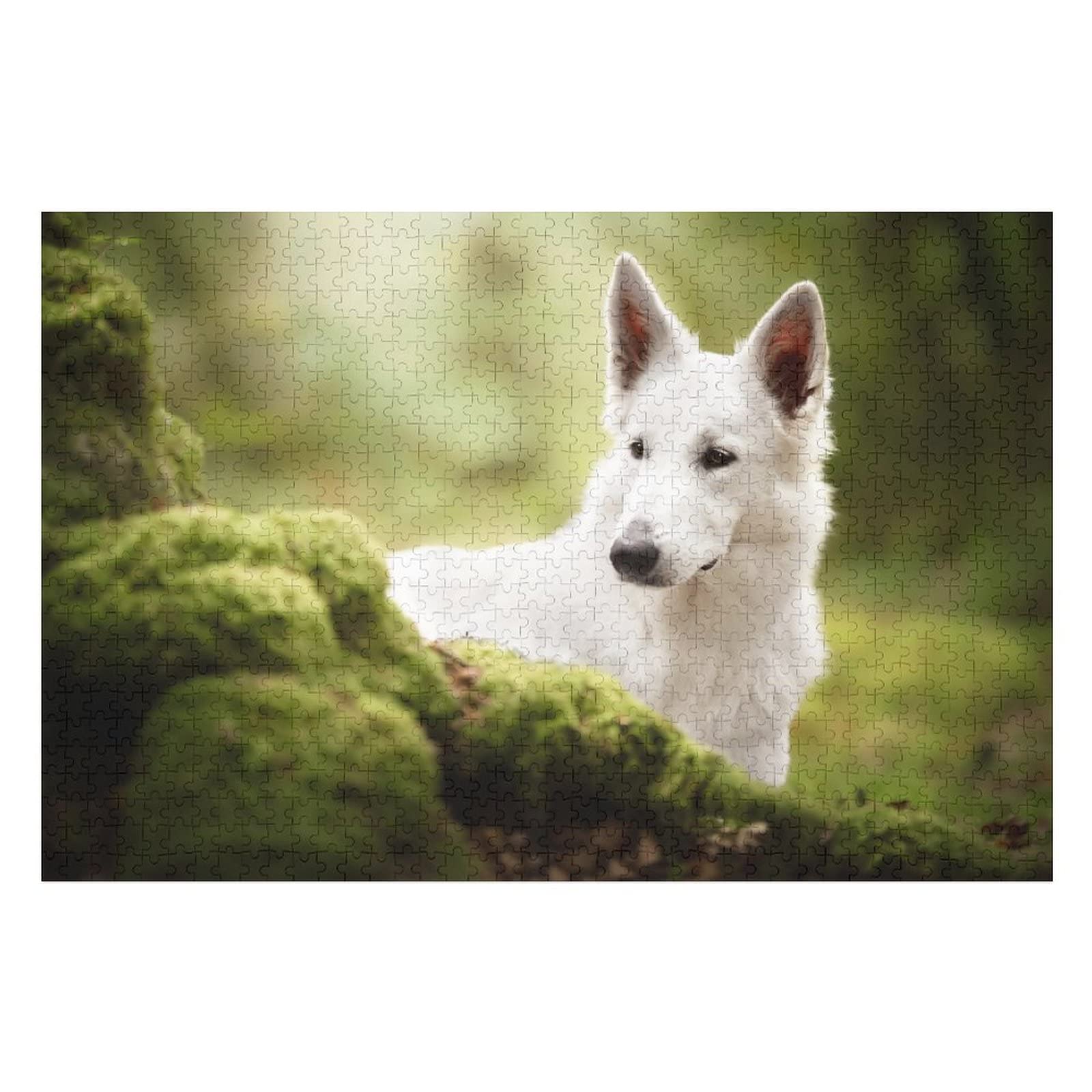 Tier-Puzzle-Set für Erwachsene, 2000 Teile, Hundemuster, Puzzles für Erwachsene, Teenager, Kinder, Puzzle-Geschenke, lustige Puzzles, 70 x 100 cm
