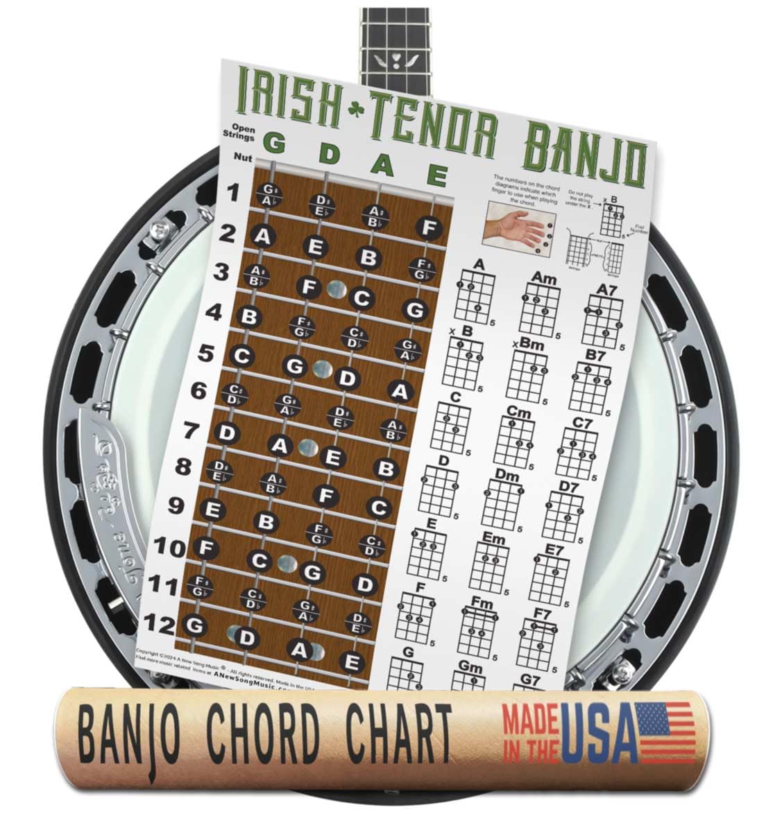 A New Song Music Irish Tenor 4 String Banjo Fingerboard Notes & Chord Poster Wall Chart 11x17