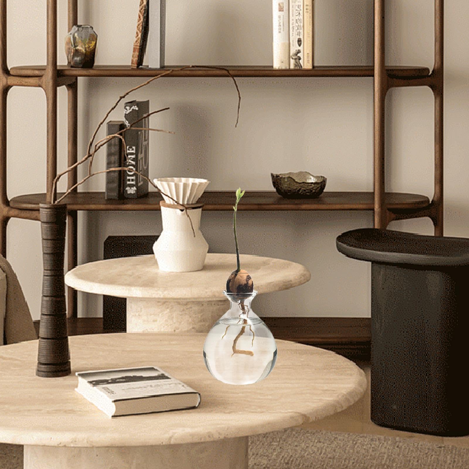 Vaso Per Semi Di Avocado In Vetro - Kit Coltivazione, Design Trasparente, Regalo Green - Foto 11