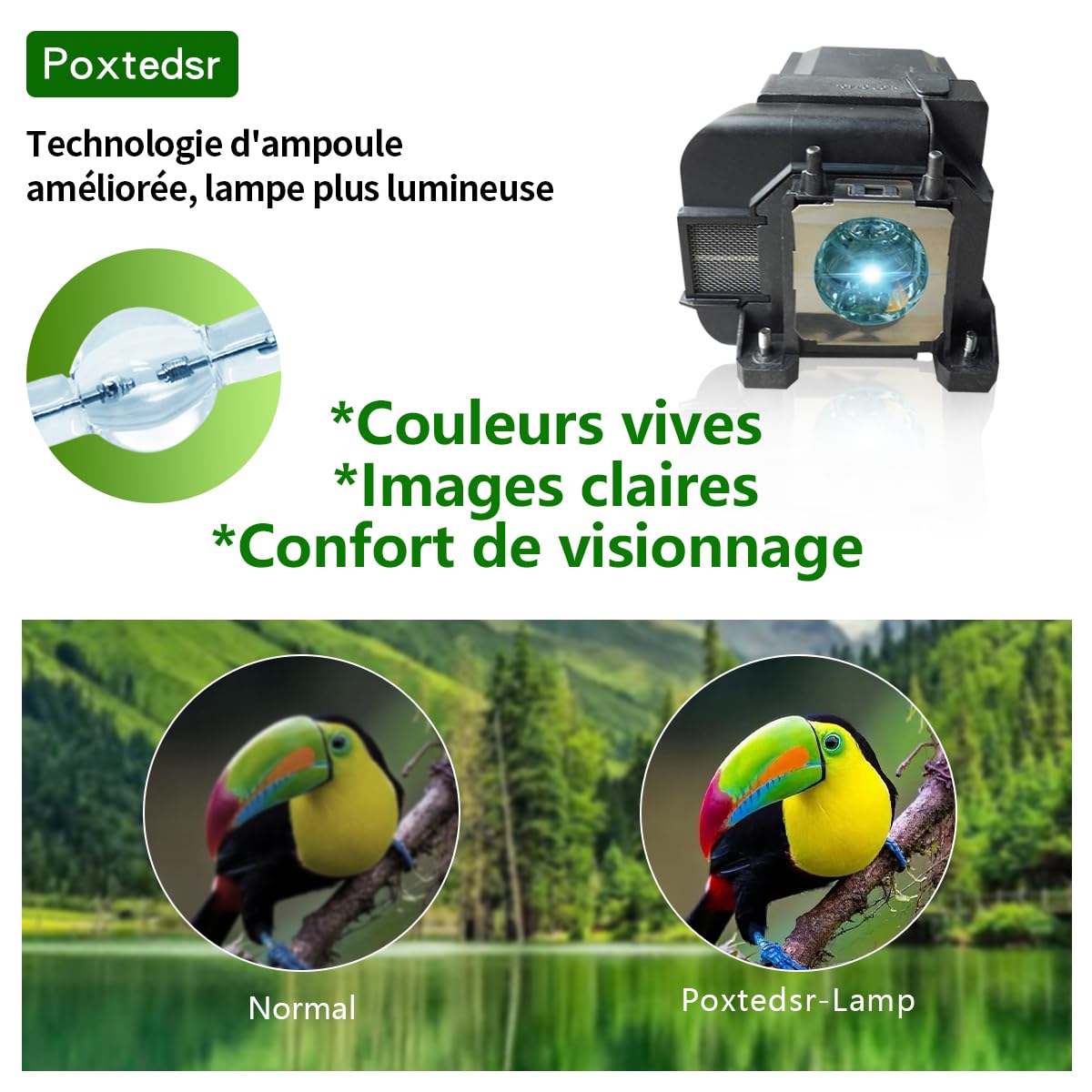 EL PLP77 - Lampada di ricambio per proiettore compatibile con EPSON EB-4550 EB-4750W EB-4850WU EB-4950WU EB-1970W EB-1975W EB-1980WU EB-1985WU EB-4650 proiettori con alloggiamento