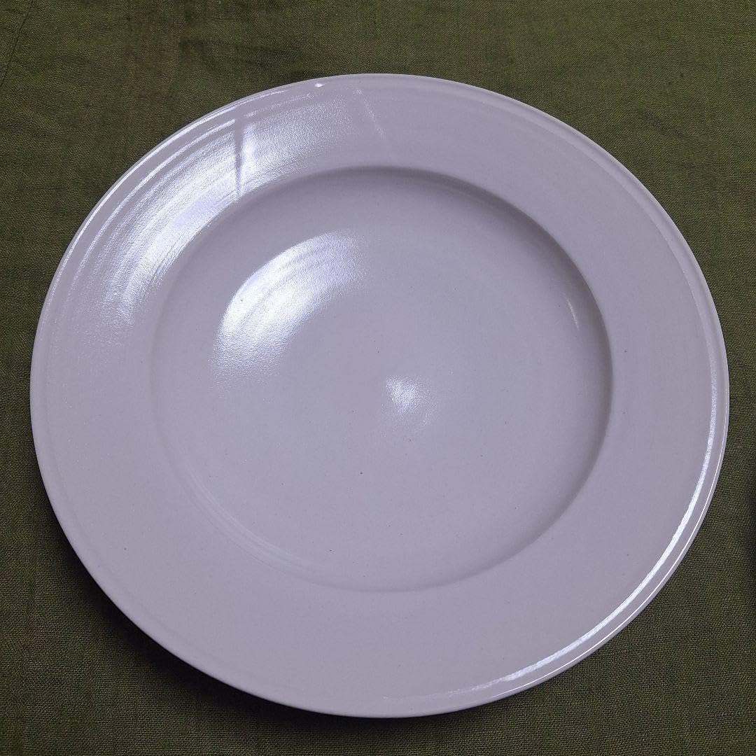 Amazon.co.jp: 岡田直人 リムプレート 2枚セット 約φ23.7cm 食器 