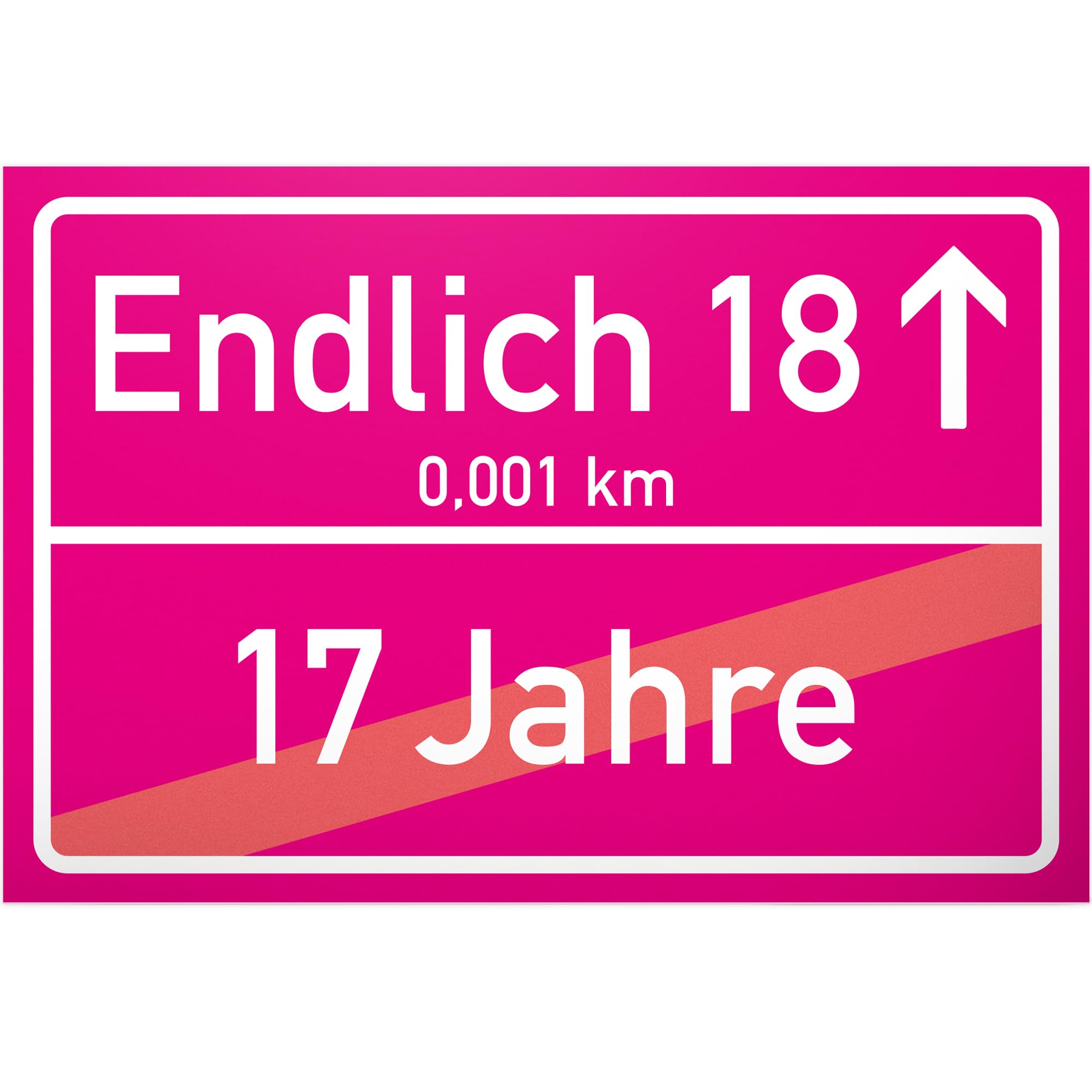 DankeDir! Volljährig (17 Jahre) Ortsschild rosa Geschenk 18. Geburtstag bester Freund Freundin Geschenkidee Geburtstagsgeschenk Volljährigkeit Kleines Geschenk 18er Geburtstagsparty