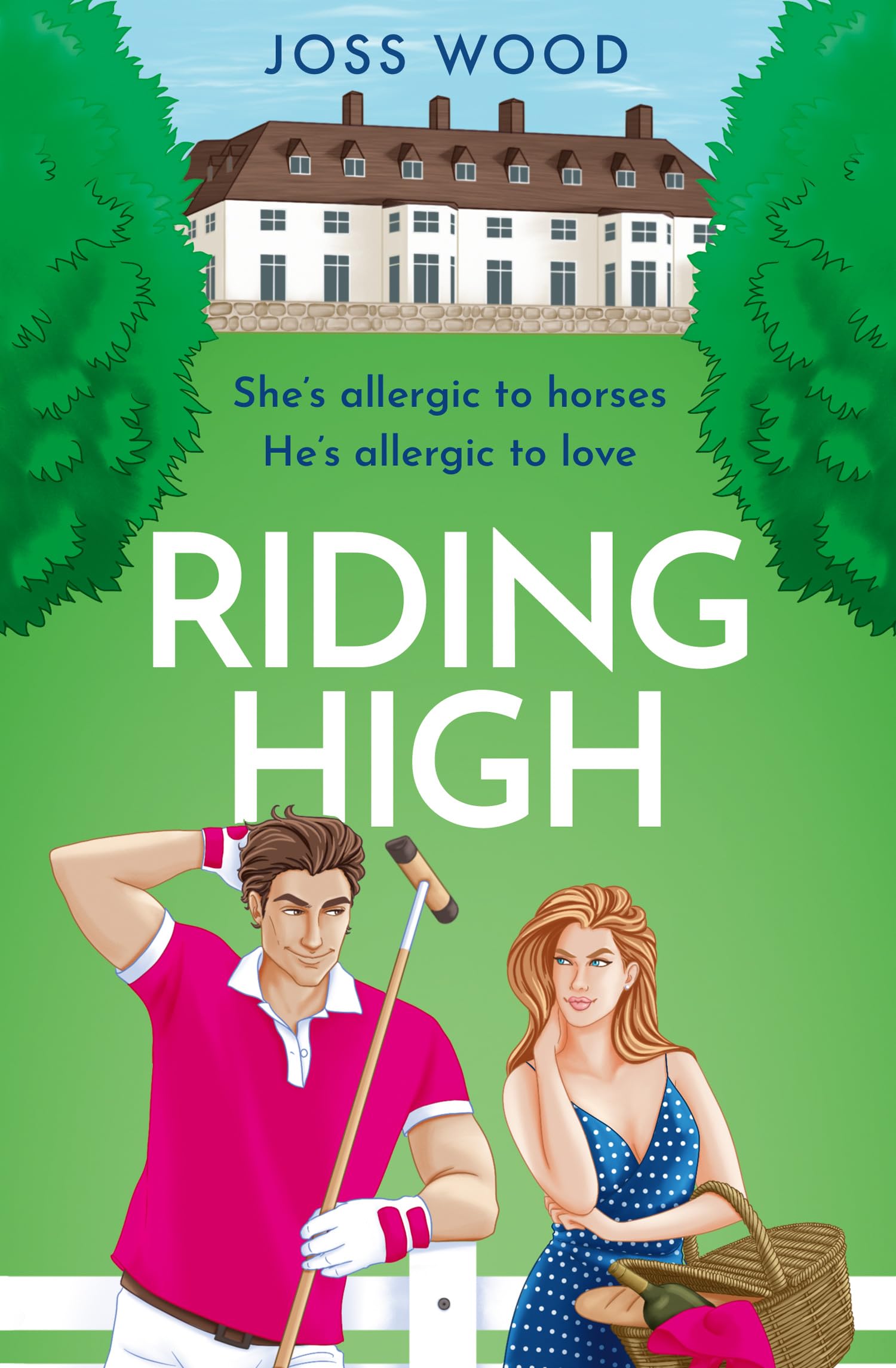 Riding High: A glamorous polo-themed romance with a slice of scandal, perfect for fans of RIVALS, new for 2025!