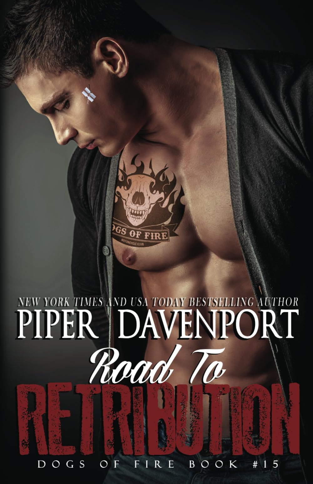 Road to Retribution (Dogs of Fire)