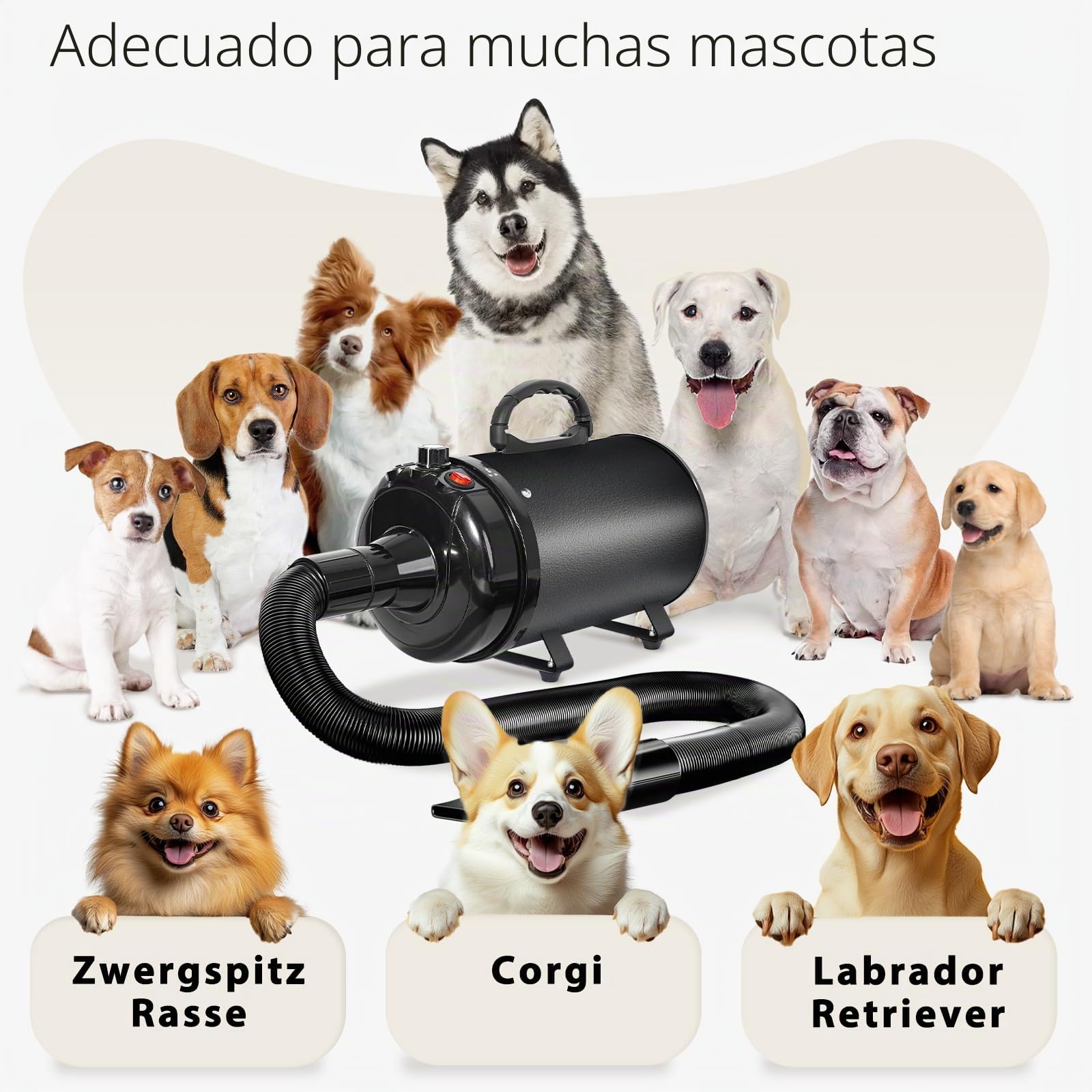 Secador de Pelo de Perro Blaster 3000 W, Secador de Pelo para Mascotas, Calentador de Temperatura de bajo Ruido con 4 boquillas Diferentes,Negro Profundo
