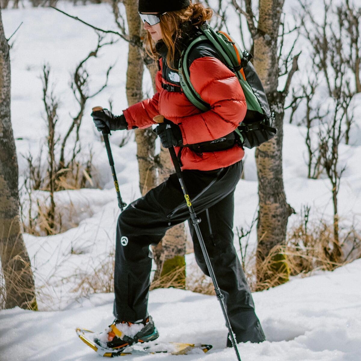 Atlas Montane