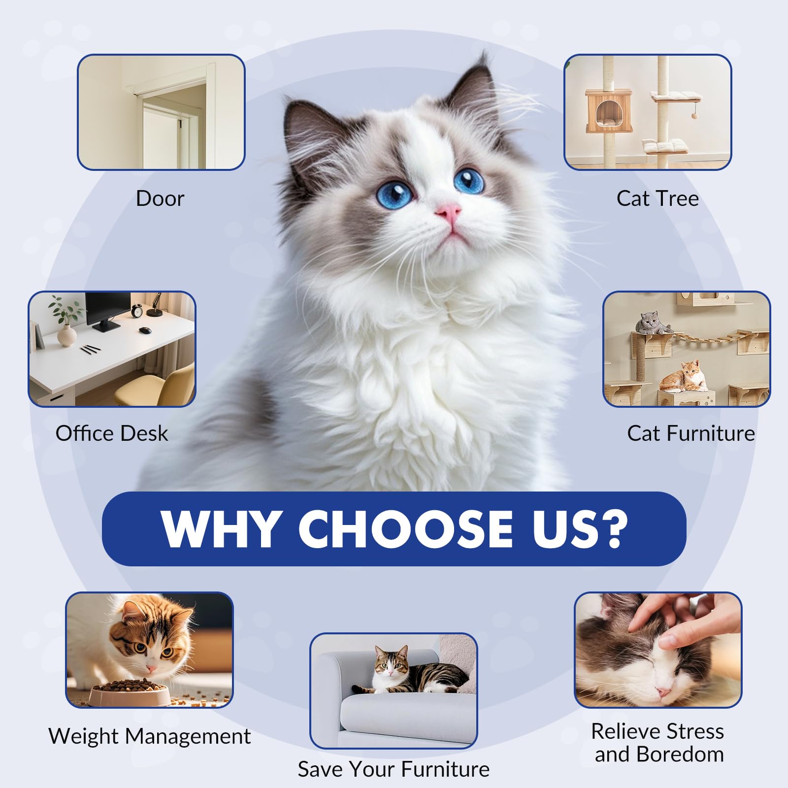 Wortade Juguetes interactivos para gatos recargables, juguete de plumas para gato de interior, juguete retráctil para colgar, juguete automático de ejercicio de persecución para gatitos con tres