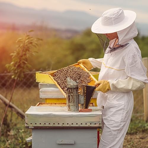 Miniatura 4 de Bluecorn Botanica - Vela perfumada con aceite esencial de abeto, 3 x 6 pulgadas