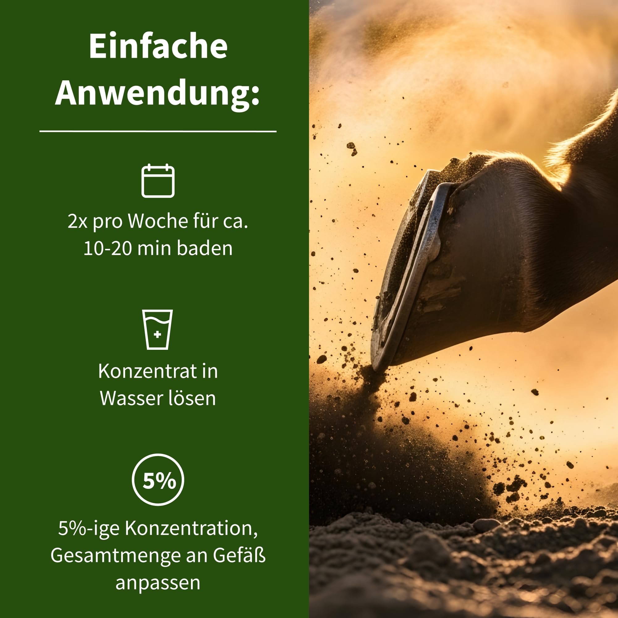 Keralit Hufbad – Konzentrat für Pferde zur Stabilisierung geschädigter Hufe – bei schweren Hornzersetzungsprozesen an Hufwand, Sohle, Strahl & Weißer Linie
