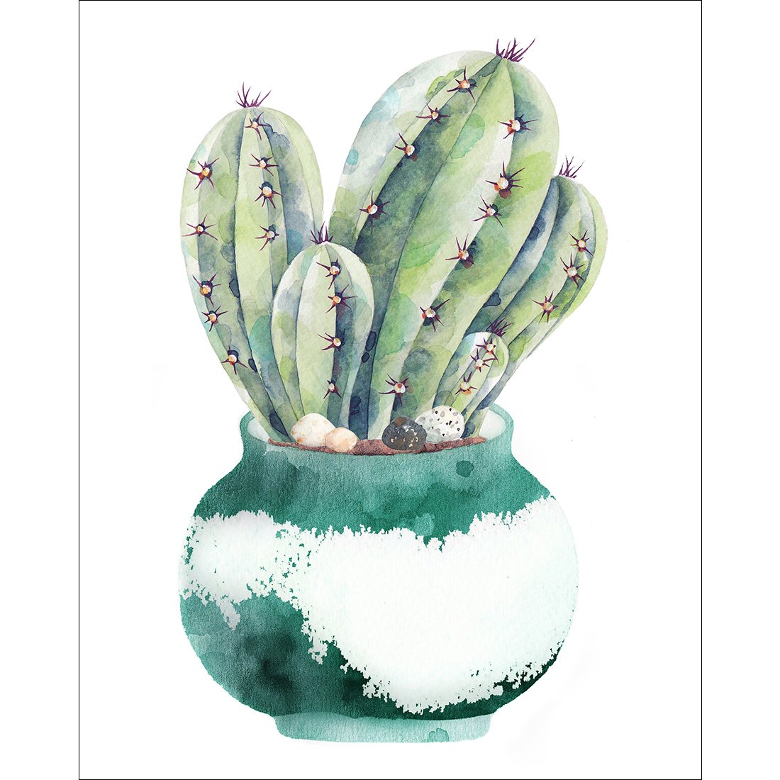 Amazon.com: Meishe Art Poster Print Modern Cactus in Pot Potted Cacti  Watercolor Painting Botanical Green Succulent Plants with Pink Flowers  Fashion Home Wall Decor Set of 6pcs: Posters & Prints