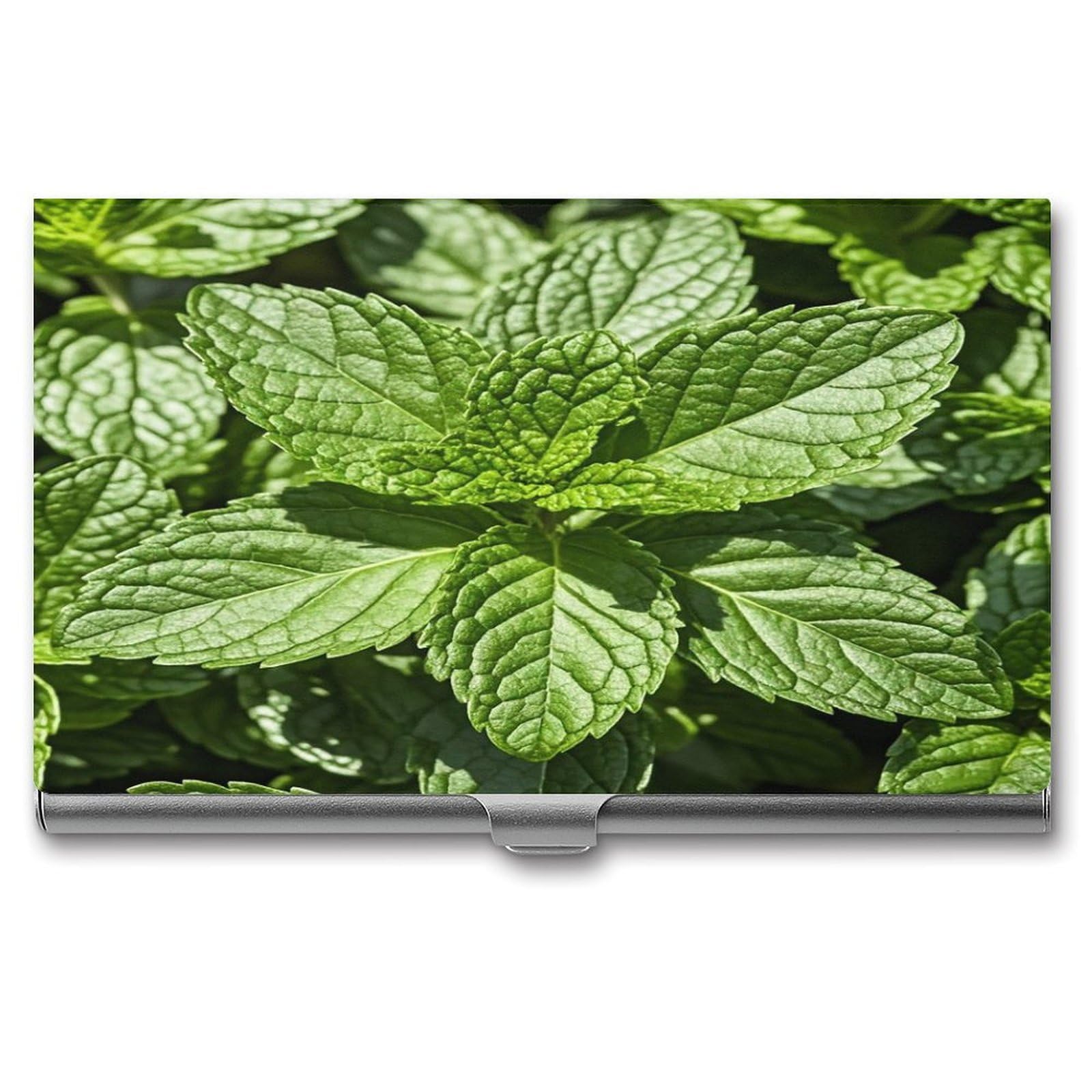 FekiLoot Peppermint Business Card Holder for Men & Women Professional Stainless Steel Business Card Case Large Capacity Slim Purse Name Cards Holders Buckle Style Shut