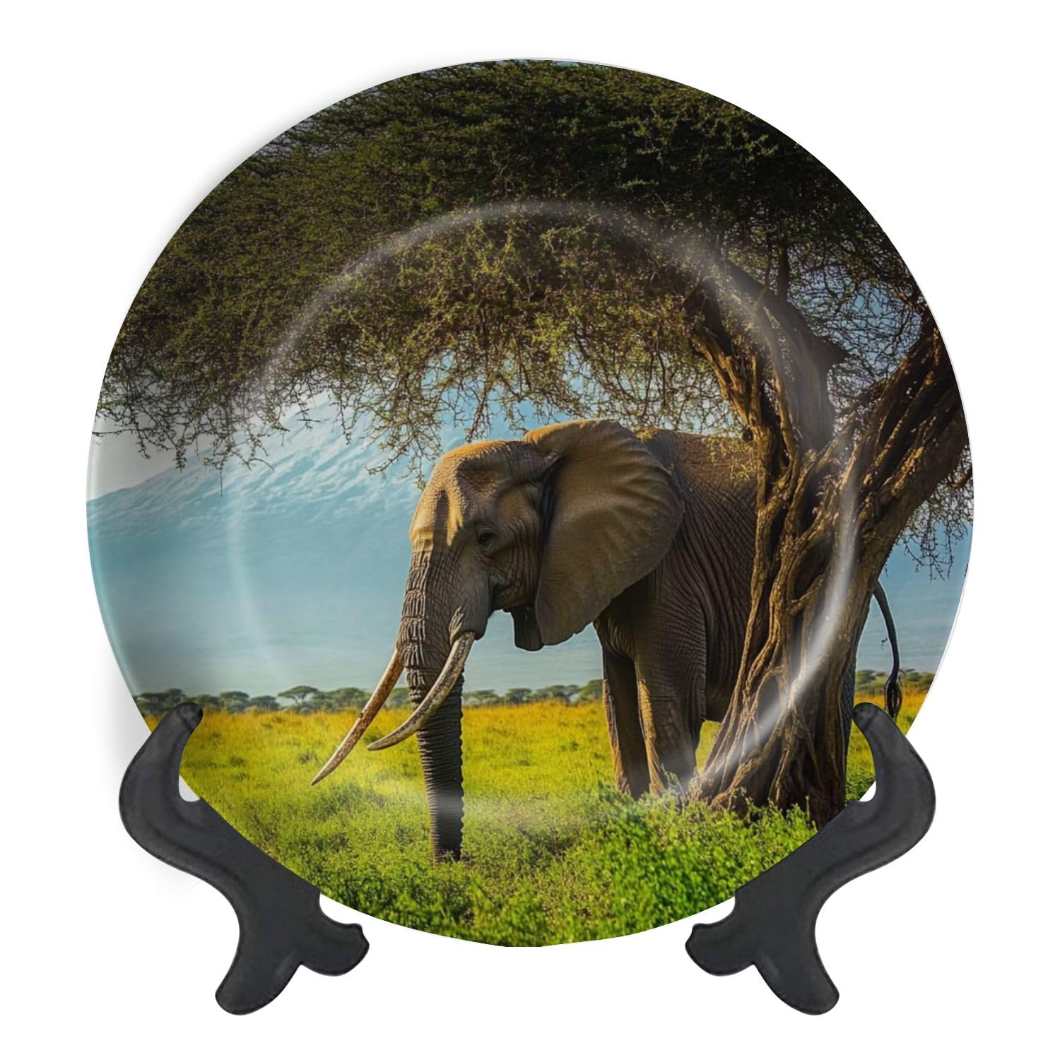 Decorative Plates for Display African Elephant Giant Tusks grazing Front Kilimanjaro Gift Plates Ceramic Collections Plates Hanging Artwork for Living Dining Room Kitchen Souvenir