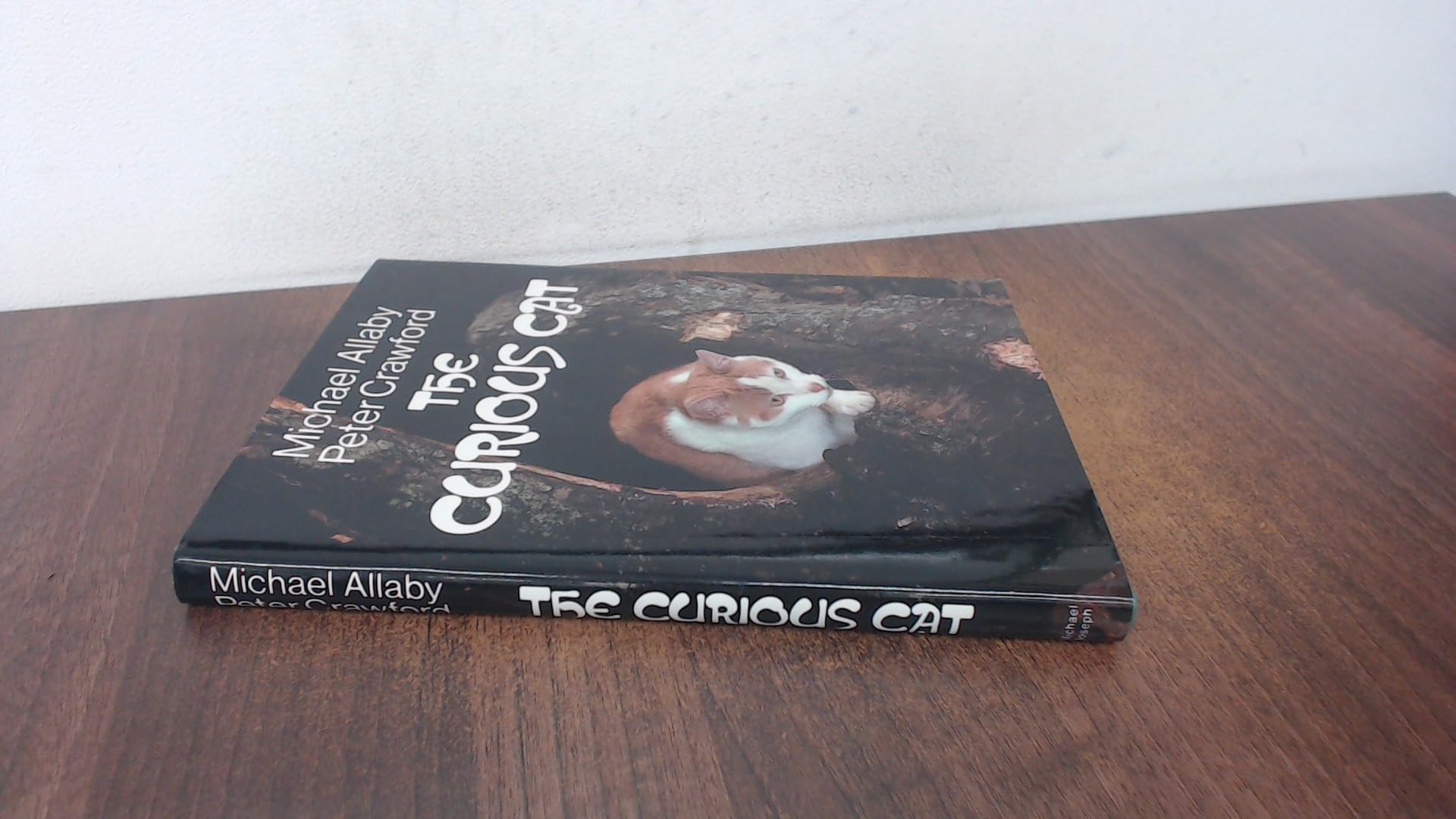 Buy Curious Cat — BookShops.in