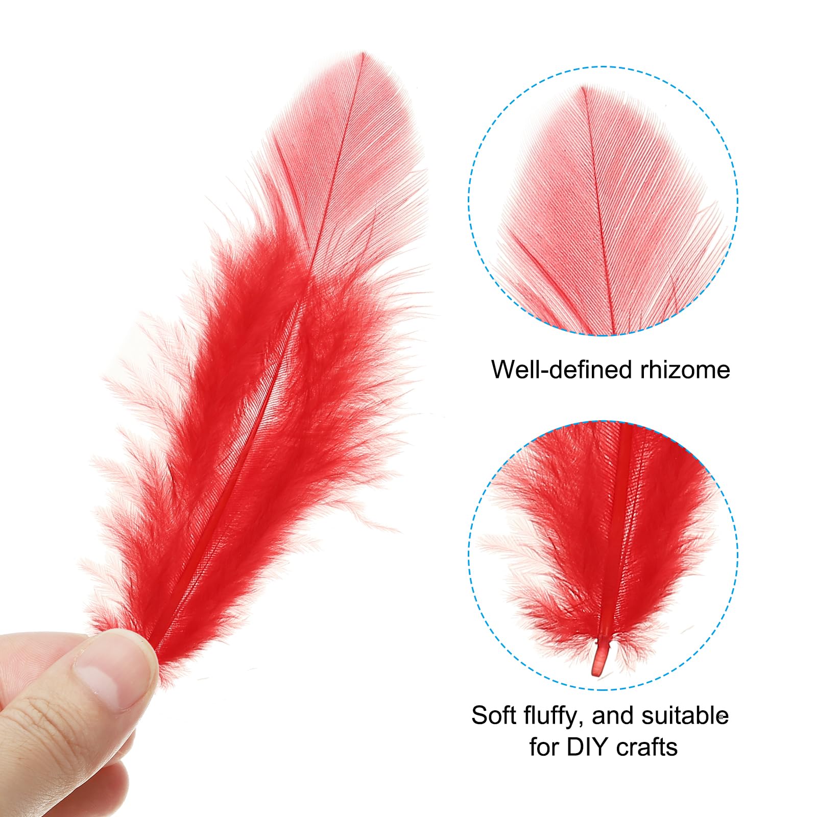 PATIKIL 1.5-3 Inch Saddle Hackle Rooster Feather - Image 3