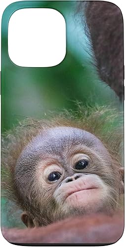 Funda para iPhone 13 Pro Max