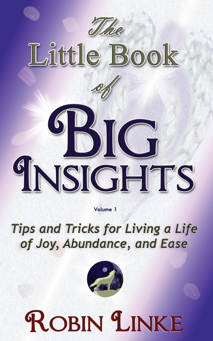 The Little Book of BIG Insights Volume I: Tips and Tricks for living a ...