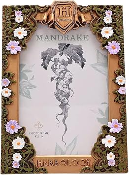 Warner Bros Harry Potter Herbology Picture Frame, 4x6 Inch, Floral Design with Hogwarts Crest, Mandrake Theme, Tabletop Standing Display
