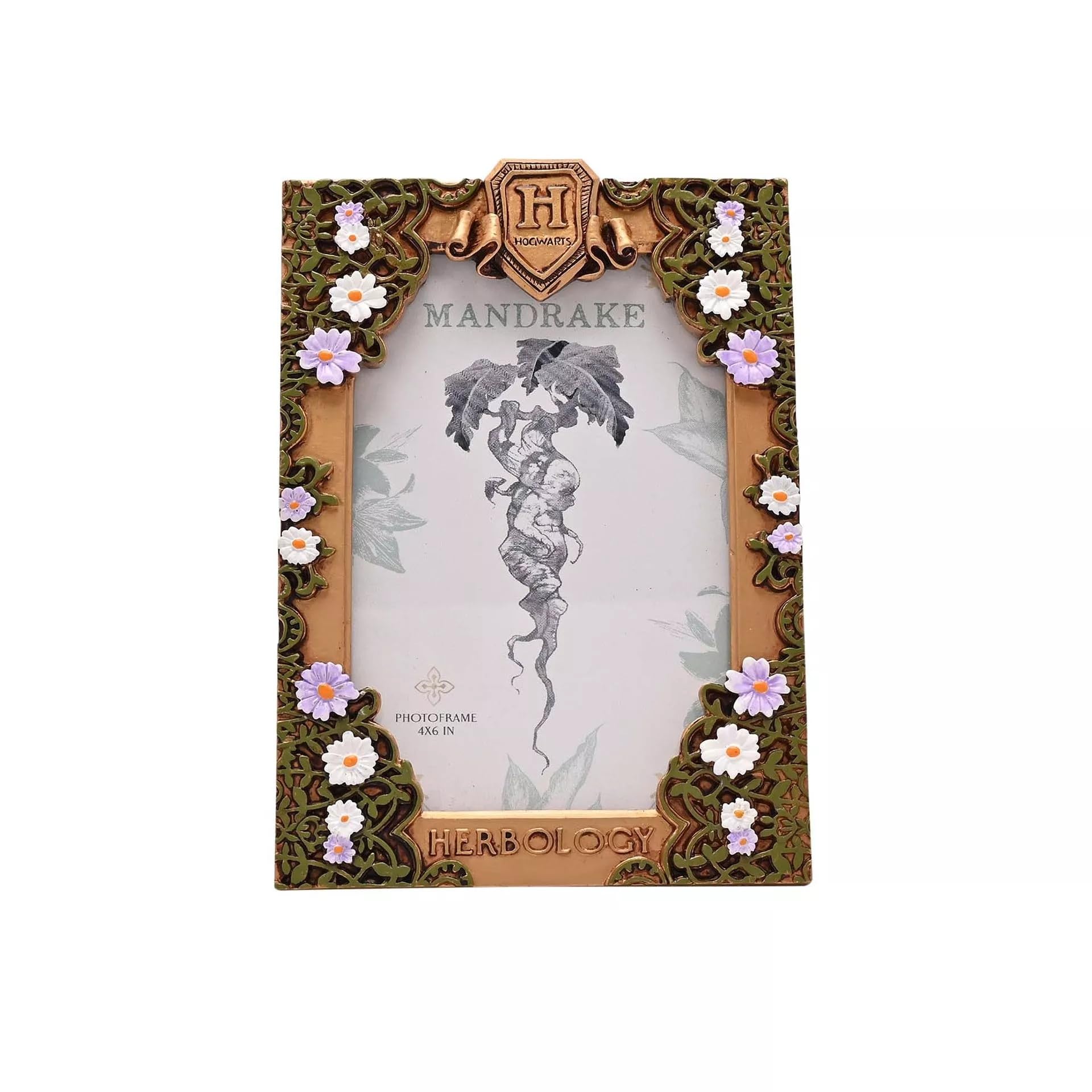 The Gift Experience Warner Bros Harry Potter Herbology Frame