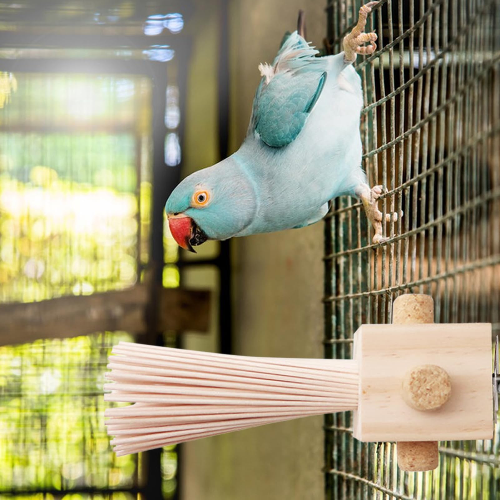 アクリル小動物用ケージ 木製止まり木付き フクロモモンガ インコ