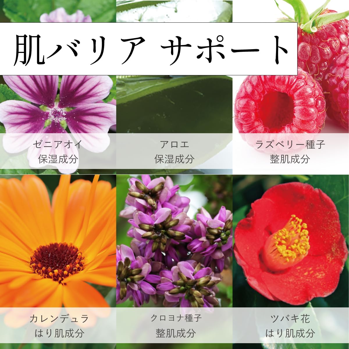 Amazon.co.jp: 琉白(RUHAKU) 月桃UVヴェール 50ml : ビューティー