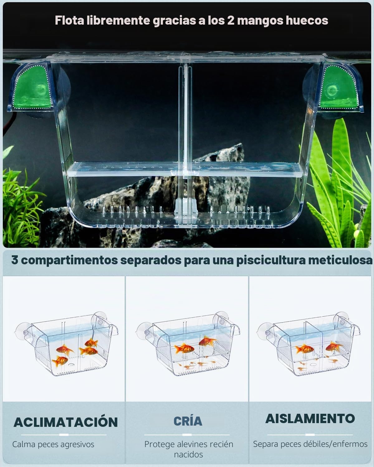 Pawfly Caja de cría de peces de acuario con 6 ventosas de acrílico para peces bebés, camarones, betta, guuppy, platy