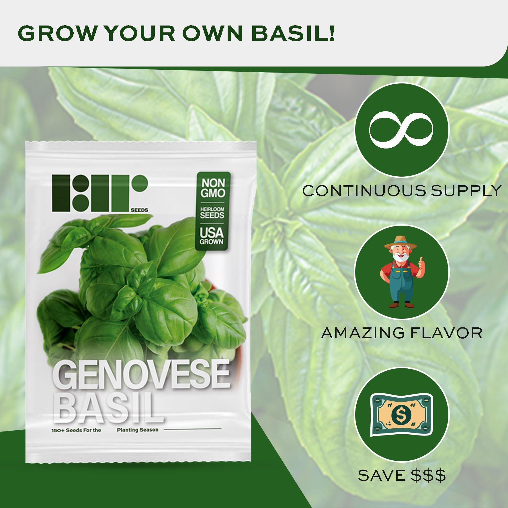 Semillas de albahaca genovesa para plantar, cultivadas en Estados Unidos, más de 150 semillas, semillas de albahaca dulce premium para interiores o exteriores 2