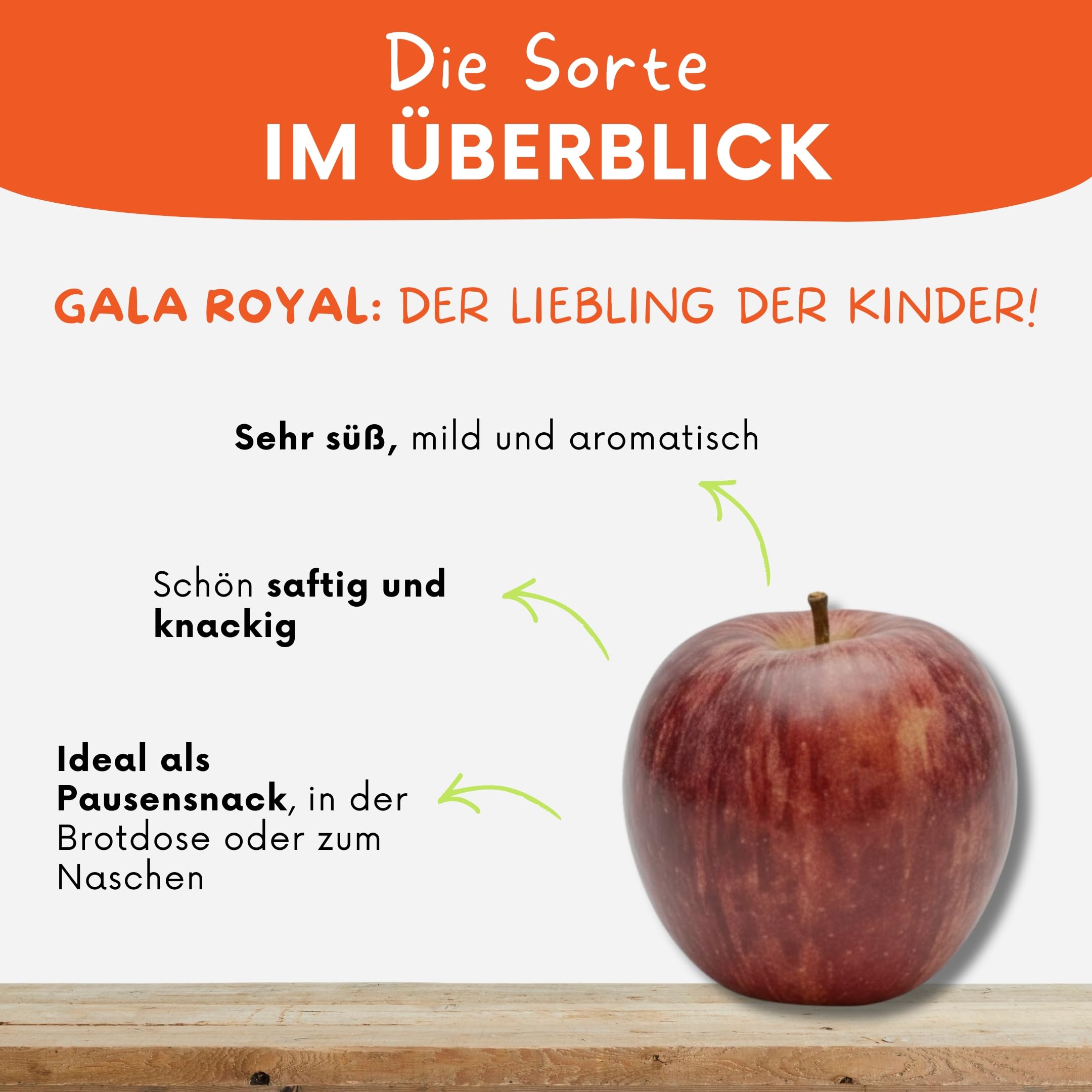 Apfelbox Gala Royal – 7 kg frische Äpfel direkt vom Obsthof | süß, knackig & aromatisch | regional, plastikfrei & nachhaltig | Saftiger Apfel | Versand immer Dienstag