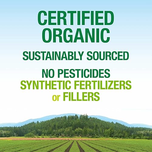 Miniatura 7 de Toda la tierra y el mar de factores naturales, proteína fermentada orgánica y verde, polvo de superalimentos veganos, sabor a vainilla chai, 1.44