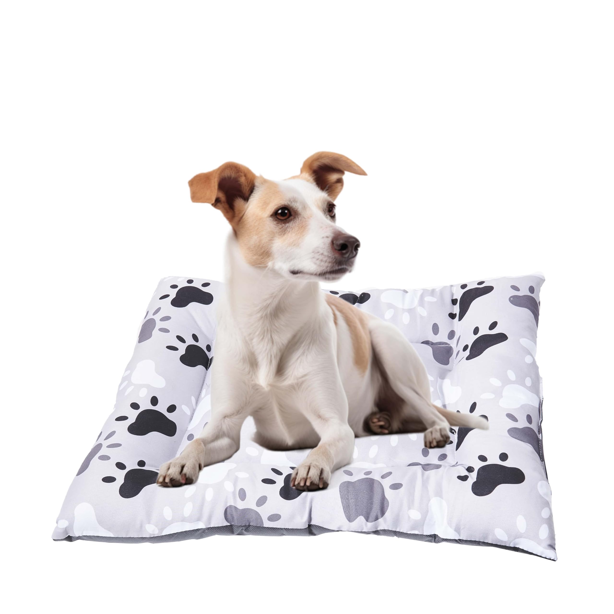 Eden & Willow Flat Dog Bed Mat, Cosy Bedding for Cats, Puppies & Pets, Lightweight & Breathable Outdoor Garden Car Dog Bed Mattress, Portable & Durable Summer Pad Cushion Mat, Pet Essentials