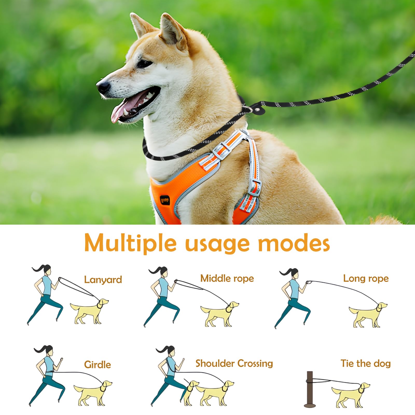 Correa Para Perros De 2.6 Metros Ajustable Y Reflectante, Ideal Para Perros Medianos Y Grandes (más De 15 Kg)