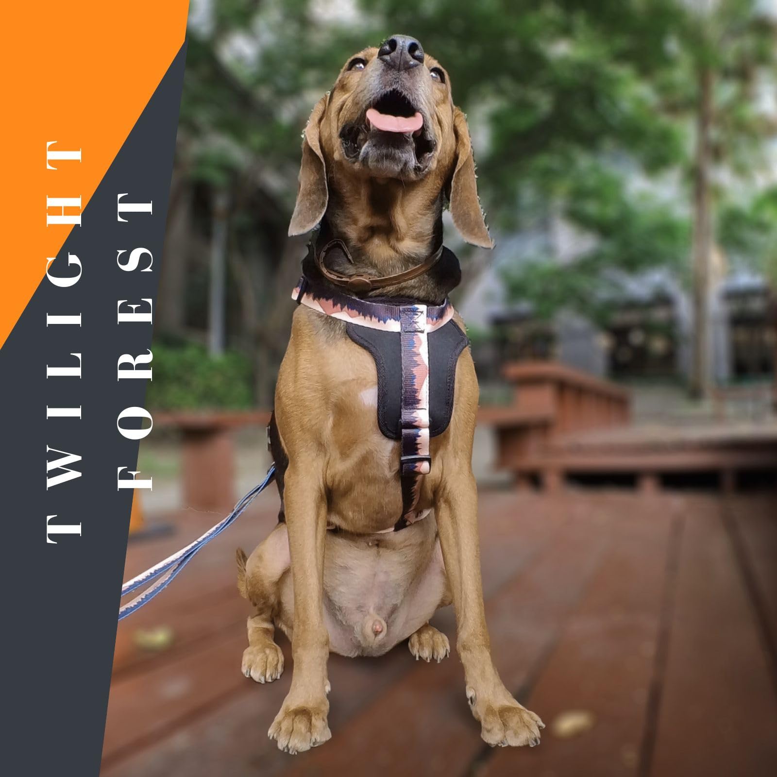 Woofy Woofy Casual H Dog Harness, No-Pull Pet Harness with 2 Leash Clips, Pet Harness, Twilight Forest Gradiant Color - Image 4