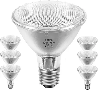 75W Par30 Halogen Flood Light Bulbs 120V,Par30 Long Neck Halogen Bulbs E26 Base,Dimmable 2700K Warm White Halogen Light Bulb 6 Pack for 5-6in Recessed/Ceiling Cans/Accent/Tracking Lighting