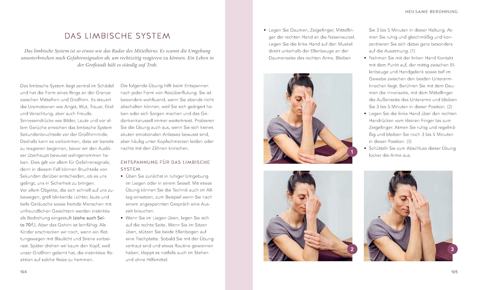 Das Vagus-Training: Selbstheilung aktivieren – Übungen für den Vagusnerv (GU Ratgeber Gesundheit)