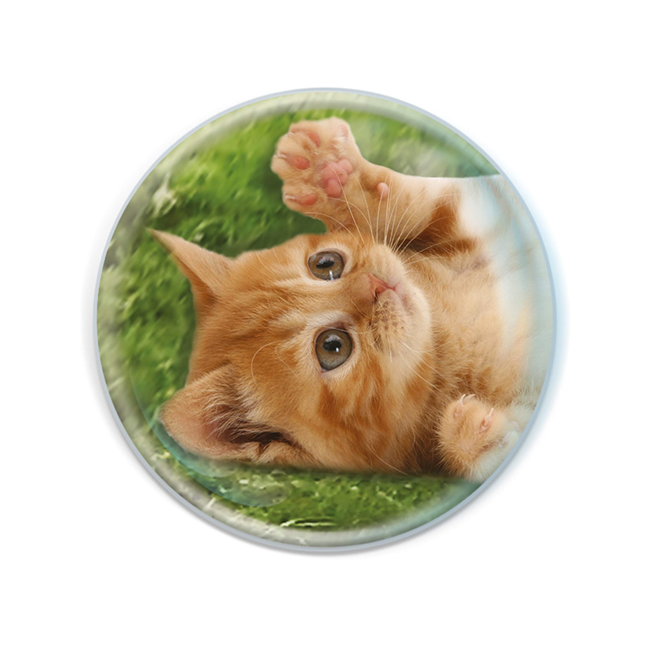 Bighorn Sheep Crystal Glass Fridge Magnet – Magnidome Domed Decorative Magnet For Kids & Home - View #7