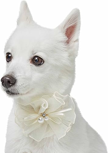 Blueberry Pet Dog of Honor Collar de boda, pequeño, elástico, de liberación rápida, collar para perro y gato con flor