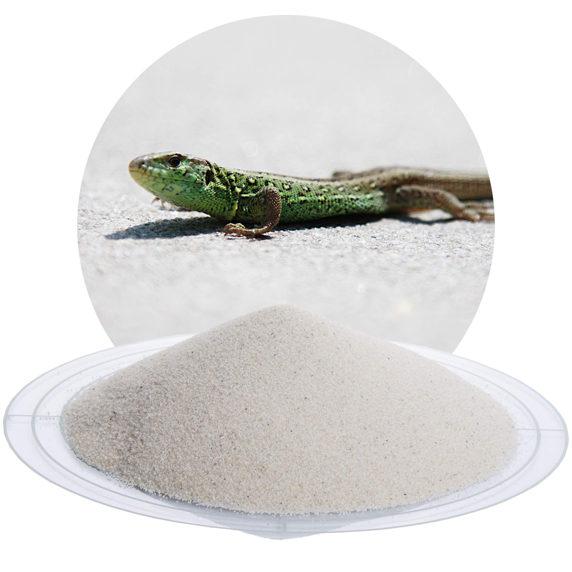 Schicker Mineral Terrariensand weiß 25 kg, hochrein, kantengerundet, gewaschen und hocherhitzt, frei von organischen Stoffen, keimfrei, sofort einsetzbar, Terrariumkies (0,2-0,5 mm)