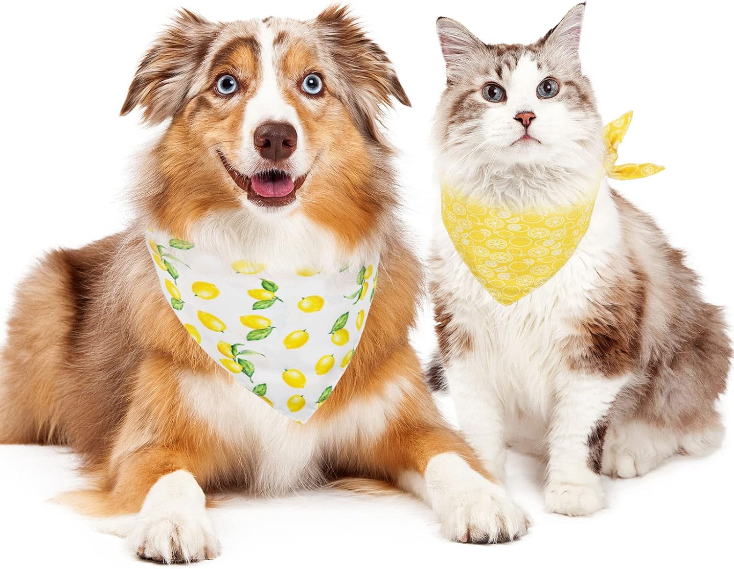 Whaline Yellow Lemon Dog Bandana Spring Summer Reversible Triangle Dog Scarf Adjustable Fruit Washable Pet Bibs Pet Neckerchief for Medium Large Cat Dogs Costume Accessories, 2 Pack image 4