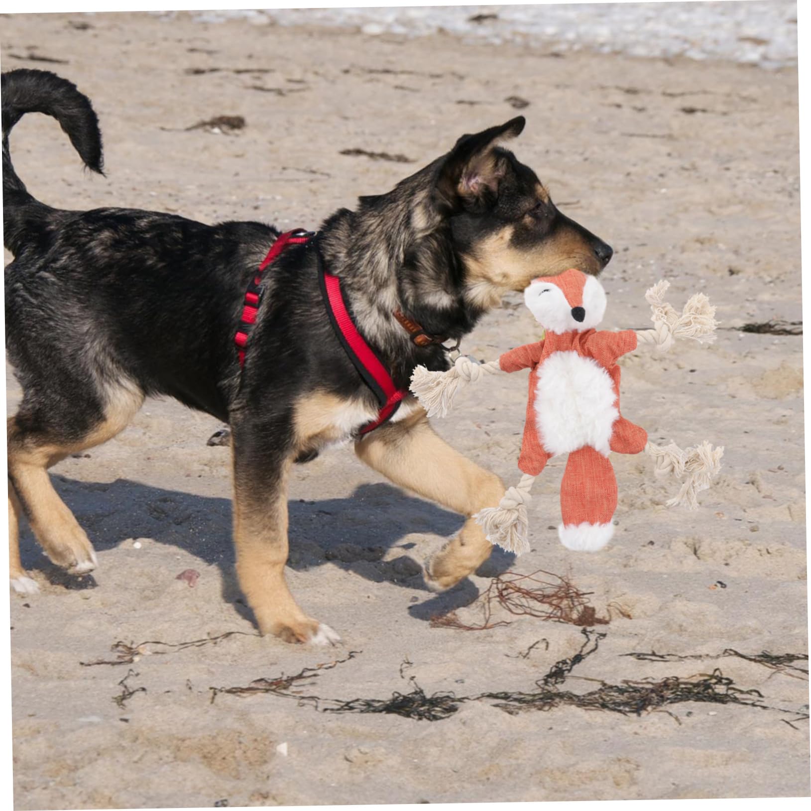 ibasenice 3 Giocattoli Educativi Per La Del Cane Peluche Suono Per Animali Domestici Da Masticare Afferrare E Giocare in Sicurezza Per Cuccioli E Gatti Design Unico Dei Cartoni Animati