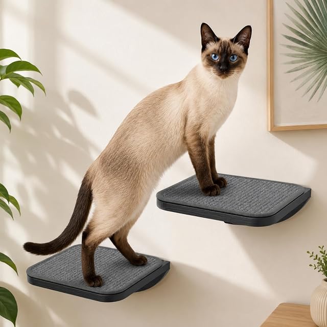 2 Escaleras para Gatos con Alfombrilla Rascadora, Escalones para Gatos Montados en la Pared
