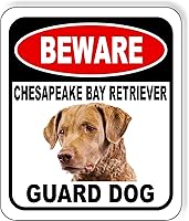 Vista 151 de BEWARE BASSETT HOUND GUARD DOG - Letrero compuesto de aluminio para exteriores, 8.5 x 10 pulgadas