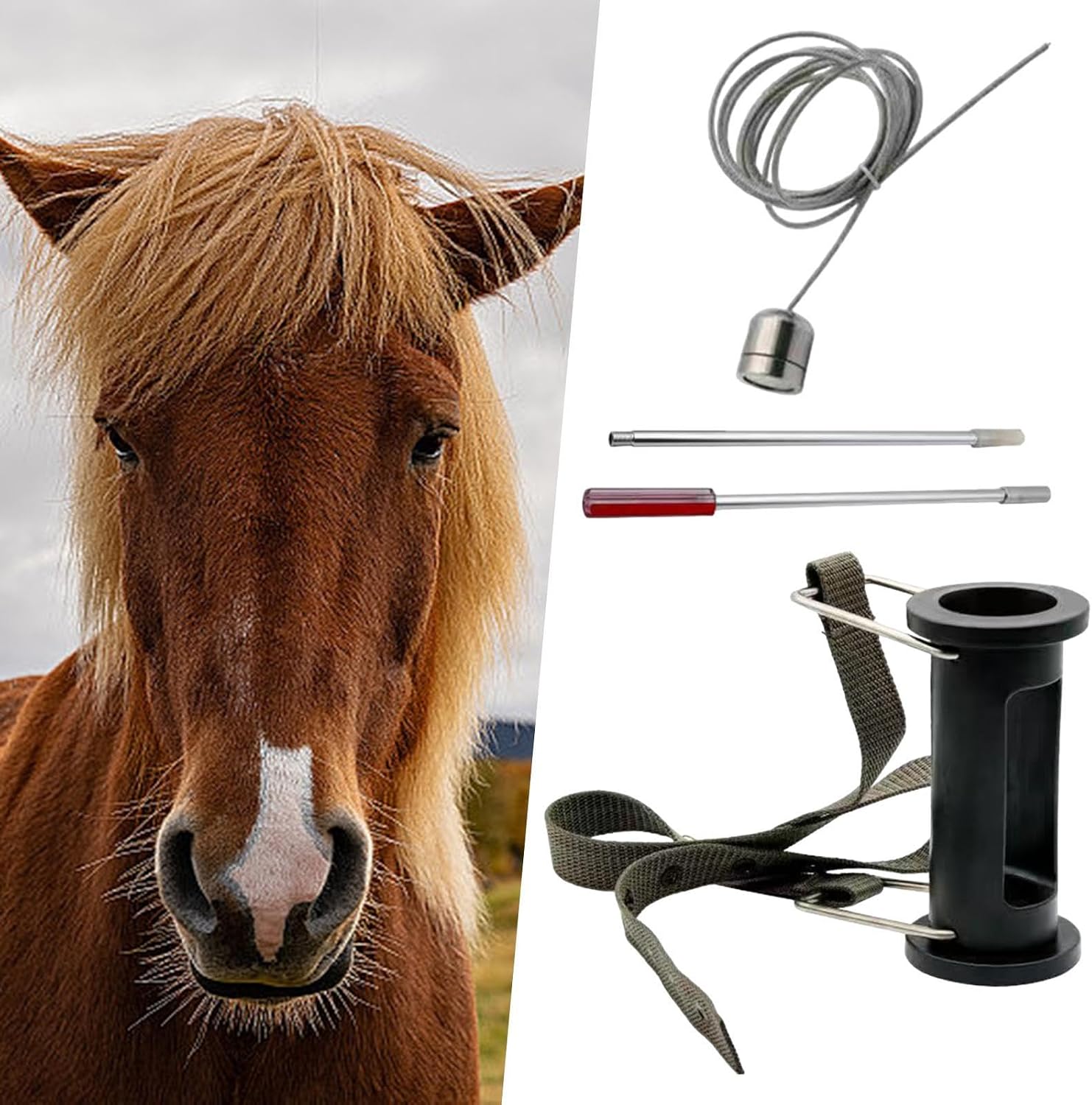 Cattle Iron Extractor Device with Metal Picker and Head for Veterinary Use, Type 2