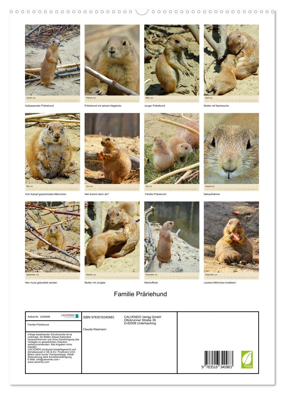 Familie Präriehund (hochwertiger Premium Wandkalender 2026 DIN A2 hoch), Kunstdruck in Hochglanz: Zu Gast bei den possierlichen Erdhörnchen (CALVENDO Tiere)