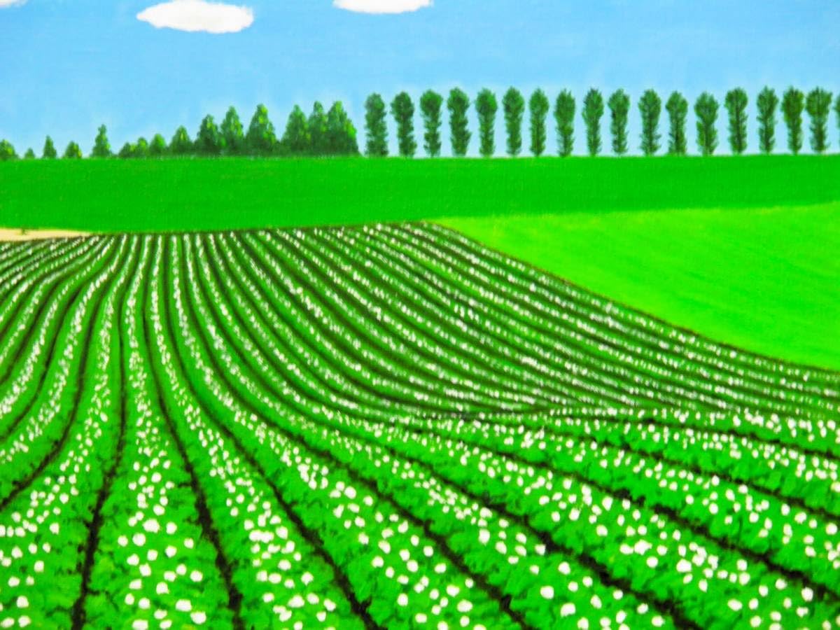 Amazon.co.jp: 美瑛うねるいも畑谷村一男肉筆油彩画F6額付 : おもちゃ