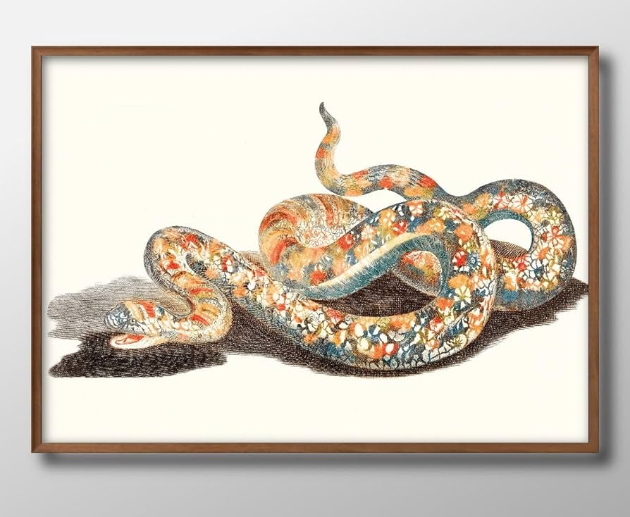 Amazon.co.jp: 幸運の蛇 ヘビ ビンテージ A3 サイズ おしゃれ 絵画