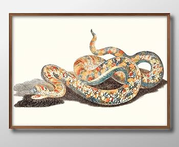 Amazon.co.jp: 幸運の蛇 ヘビ ビンテージ A3 サイズ おしゃれ
