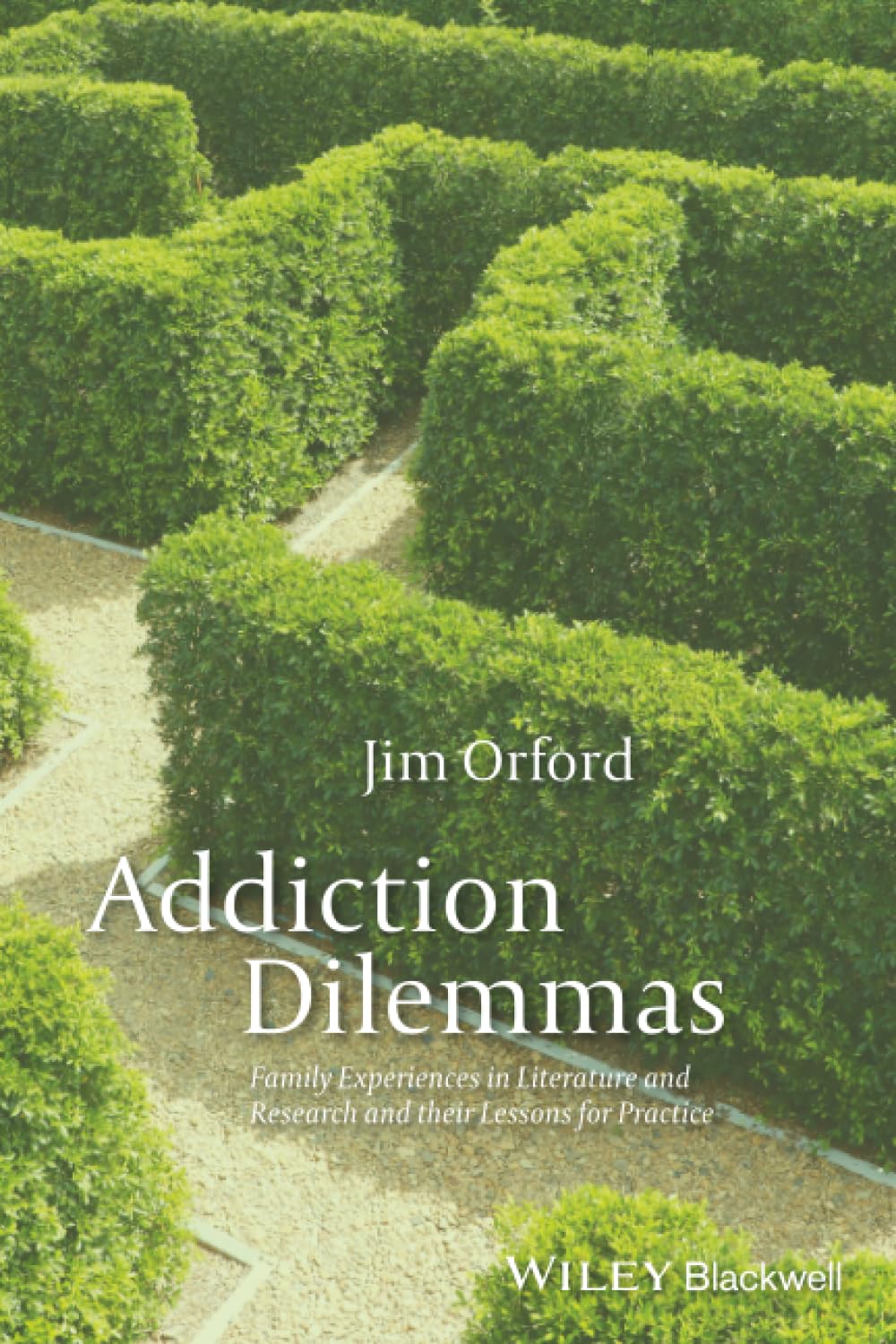 Addiction Dilemmas: Family Experiences from Literature and Research and Their Lessons for Practice
