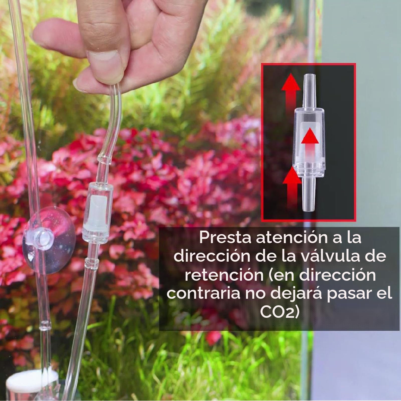 5L Sistema Generador co2 Acuario, Kit Reactor Dióxido para Tanque 60L-300L | co2 reactor Carbono con regulador co2 Acuario, válvula de Aguja, solenoide y medidor de Burbujas, para Plantas de Acuario